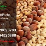export nuts