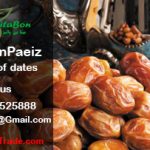Zahedi dates Iraq